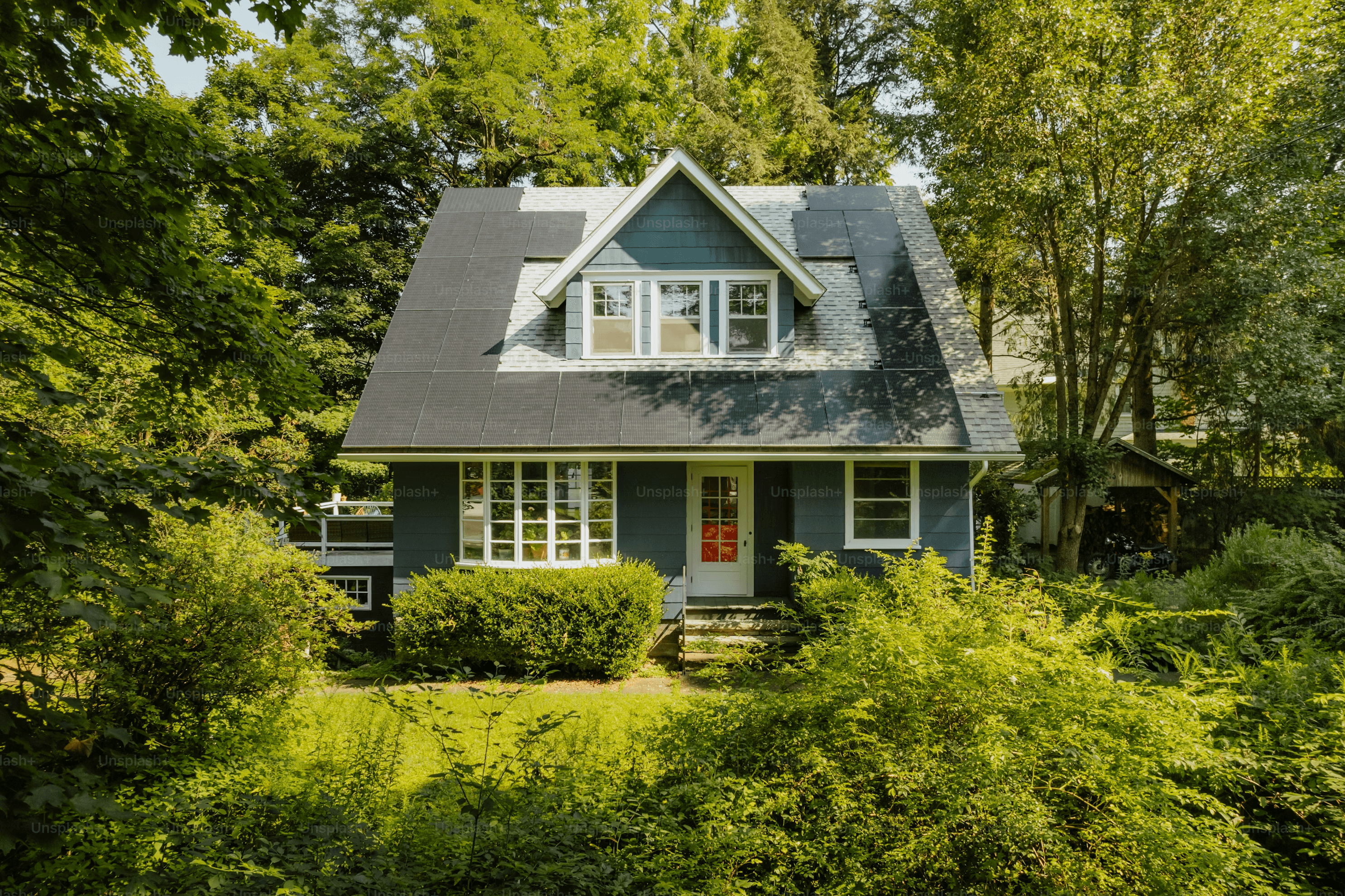 Green house surrounded by trees